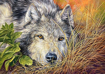 Puzzle 500 piese Lup 53285 [1]