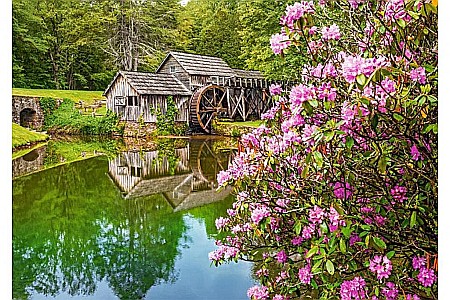 Puzzle 500 piese Mill by the Pond 53490 [1]