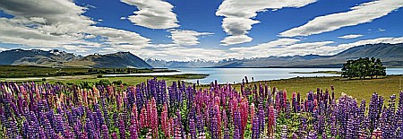 Puzzle panoramic 1000 piese Lake Tekapo Heye 29902 [1]