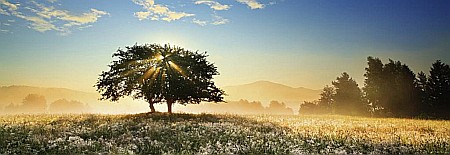 Puzzle panoramic 1000 piese Play of Light Heye 29901 [1]