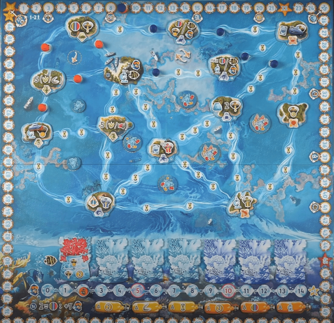 Reef Project [4]