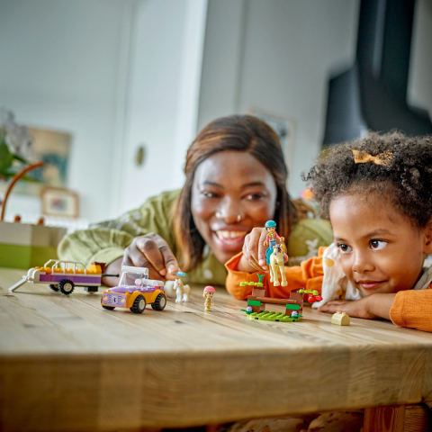 Remorca cu ponei si cal [4]