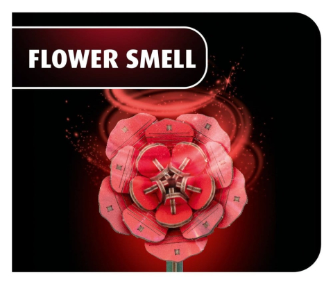 Casa si Cadouri - Revell Flowers Wooden Flowers Dream of Roses 22 cm