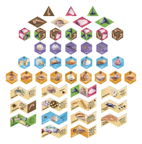 Sanibel Board Game *English Version* [5]