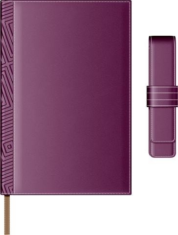 Agende, carnetele si alte produse din hartie - Set Agenda Piele B5 + Pouch Pen - Purple