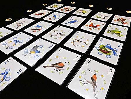 Songbirds [3]