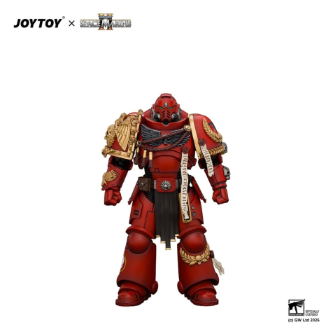 Space Marine Game Edition Action Figure Blood Angels Veteran 12 cm [5]