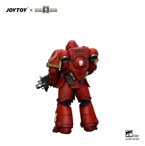 PRECOMENZI - Space Marine Game Edition Action Figure Blood Angels Veteran 12 cm