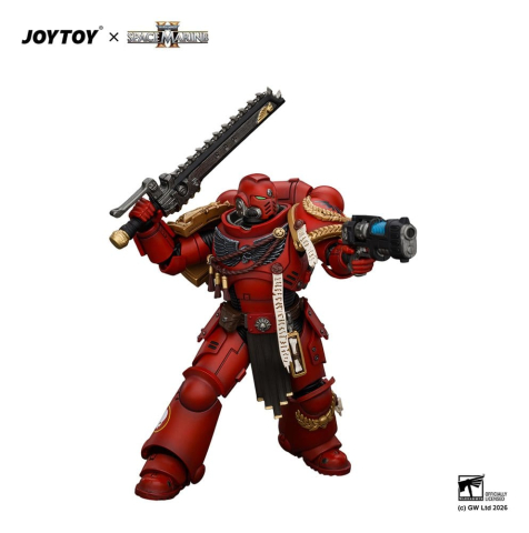 Space Marine Game Edition Action Figure Blood Angels Veteran 12 cm [2]
