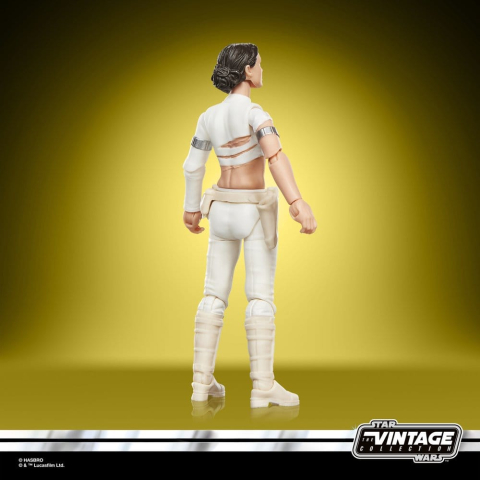 Star Wars Episode II Vintage Collection Action Figure Padmé Amidala (Geonosis) 10 cm [12]