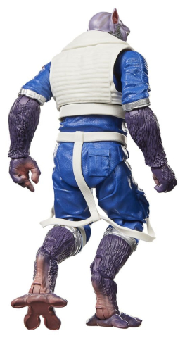 Star Wars: The Mandalorian & Grogu Black Series Action Figure Garazeb "Zeb" Orrelios 15 cm [14]