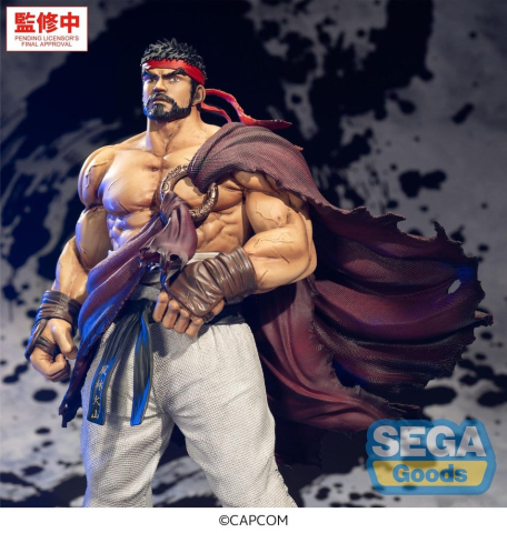 Street Fighter FIGURIZMa PVC Figure Ryu 26 cm [3]