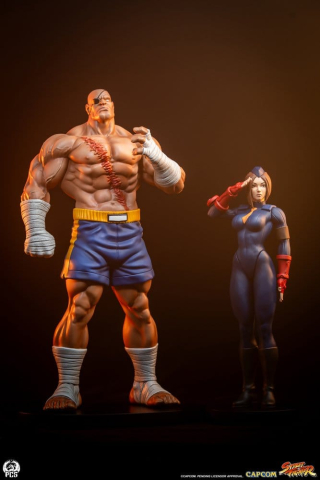 Street Fighter Street Jam Statuen 1/10 Sagat & Juli 24 cm [1]