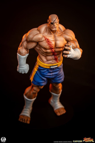 Street Fighter Street Jam Statuen 1/10 Sagat & Juli 24 cm [9]