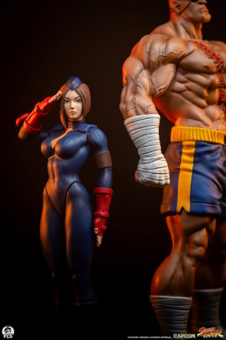 Street Fighter Street Jam Statuen 1/10 Sagat & Juli 24 cm [6]