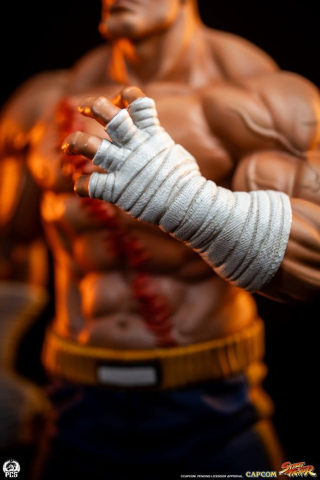 Street Fighter Street Jam Statuen 1/10 Sagat & Juli 24 cm [5]