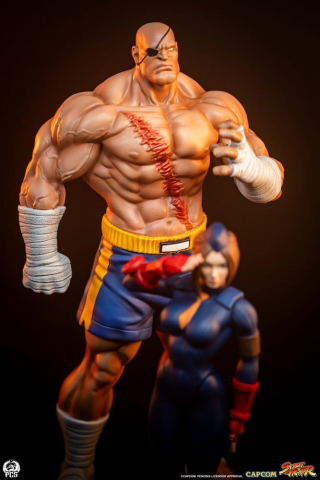 Street Fighter Street Jam Statuen 1/10 Sagat & Juli 24 cm [12]