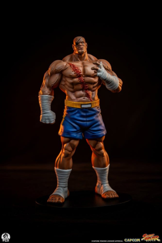 Street Fighter Street Jam Statuen 1/10 Sagat & Juli 24 cm [21]