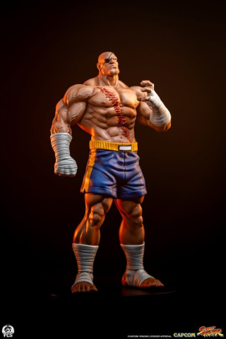 Street Fighter Street Jam Statuen 1/10 Sagat & Juli 24 cm [4]