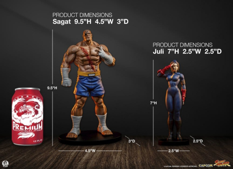 Street Fighter Street Jam Statuen 1/10 Sagat & Juli 24 cm [24]