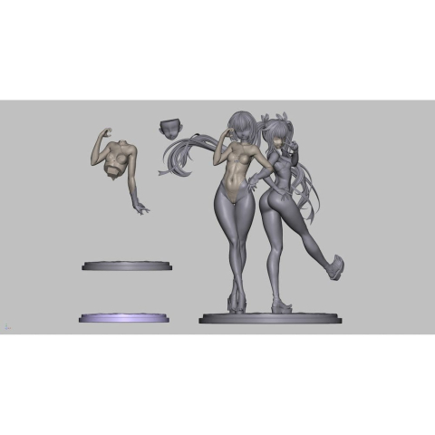 Taimanin PVC Figures 1/6 2-Pack Swimsuit Adult Yukikaze & Yukikaze Mizuki 27 cm [9]