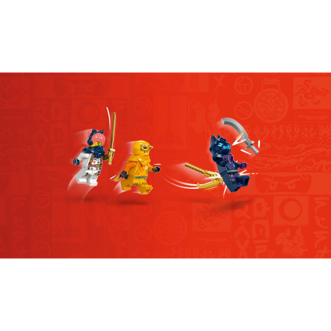 Tanarul dragon Riyu [8]