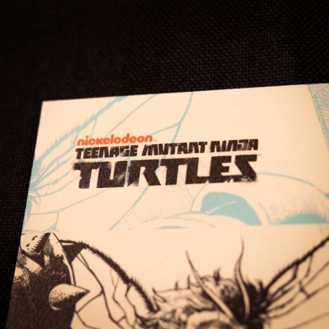 Casa si Cadouri - Teenage Mutant Ninja Turtles Art Print Comic Limited Edition 42 x 30 cm