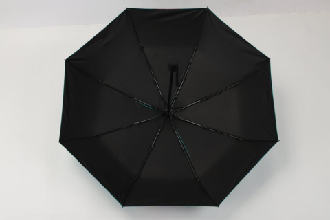 The Apothecary Diaries Umbrella [4]