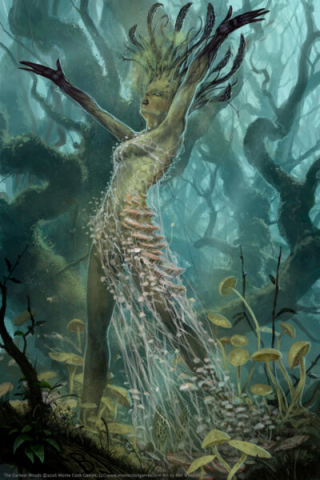 The Darkest Woods RPG [6]