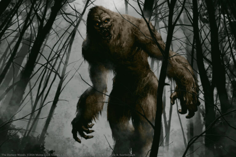 The Darkest Woods RPG [1]