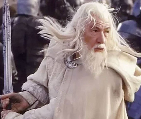 Collectibles - The Lord of the Rings Figures of Fandom PVC Statue Gandalf the White 23 cm