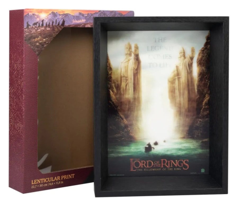 PRECOMENZI - The Lord of the Rings Framed Print