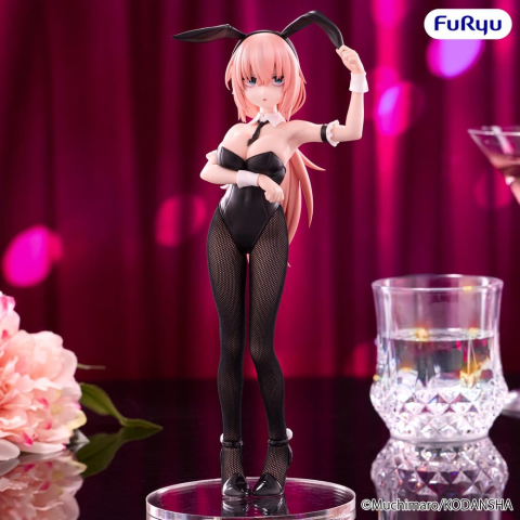 There Is Also a Hole in the Student Organization! BiCute Bunnies PVC Figure Komaro Michinoku 23 cm [4]