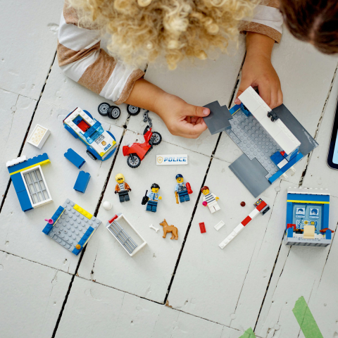 Urmarire la sectia de politie [3]