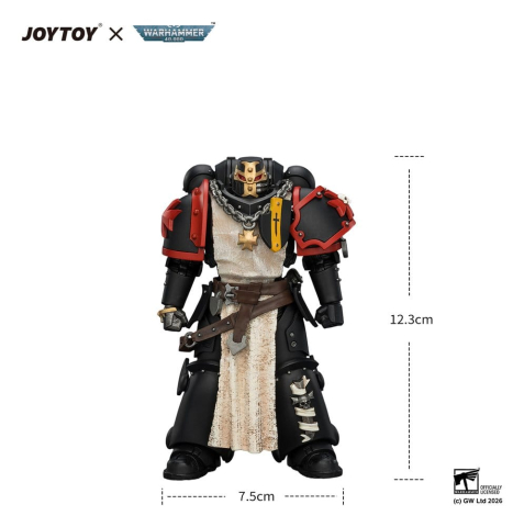 Warhammer Action Figure Black Templars Crusader Ancient 12 cm [5]