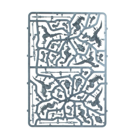 Warhammer Age of Sigmar: Spearhead Seraphon [2]