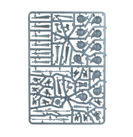 Warhammer Age of Sigmar: Spearhead Seraphon [3]