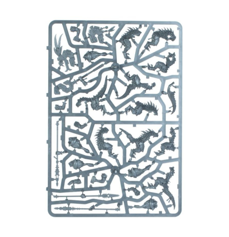 Warhammer Age of Sigmar: Spearhead Seraphon [1]