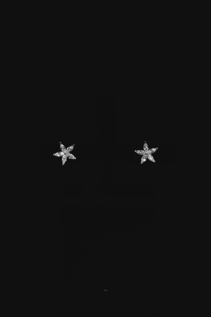 CERCEI - Cercei din Argint 925 „Stellar Bloom” – Leyla’s Brilliance