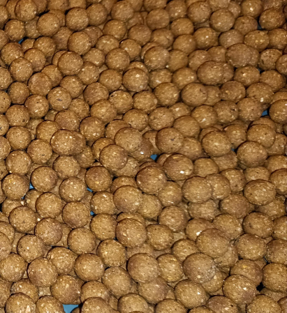 BILA DE CARTOF LA SAC DE 10 KG [1]