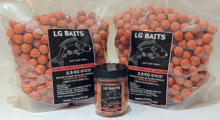 Boiliesuri de nădit - PACHET PROMO 5 KG CAPSUNICA