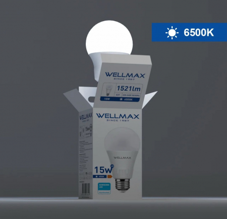 Bec LED Samsung Wellmax 15W E27 6500K A60 [4]