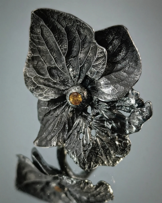Hortensie [3]