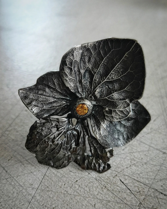 Hortensie [4]
