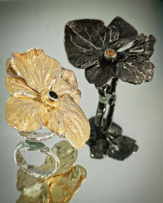 Hortensie [1]