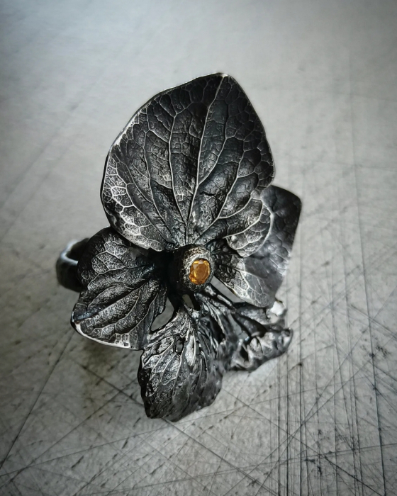 Hortensie [5]