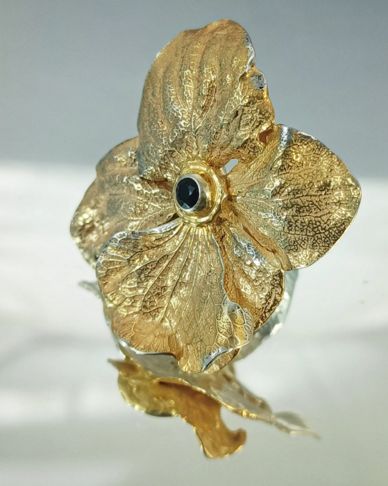Hortensie [7]