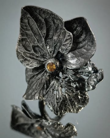 Hortensie [2]