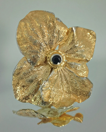 Hortensie [5]