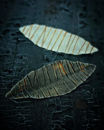 Brose - Ritmuri